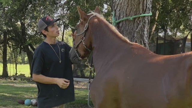 Pearland horse owner grieves the loss of his beloved animals