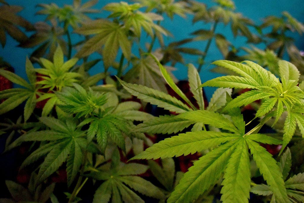 TABC finalizes new rules for Texas hemp industry