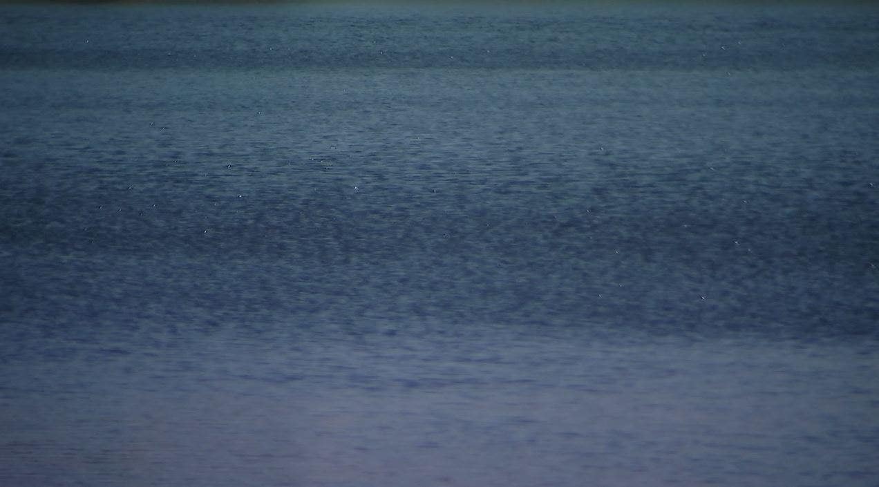 Body found in Lake Pflugerville; police investigating