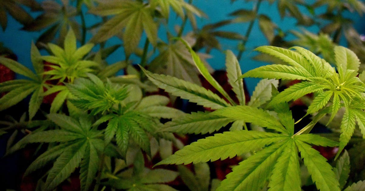 TABC finalizes new rules for Texas hemp industry