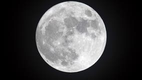 New measurements show moon has hazardous radiation levels