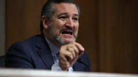 Texas Sen. Ted Cruz calling for criminal investigation into Netflix film 'Cuties'