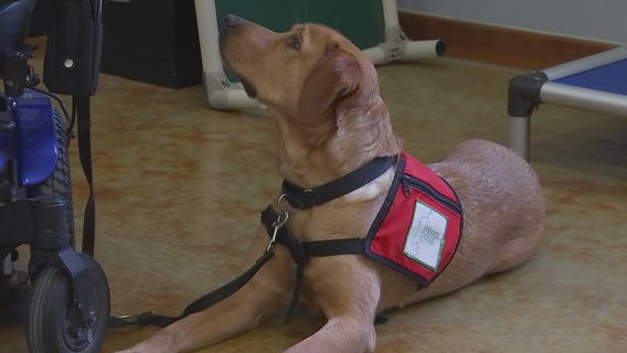 Service Dogs Incorporated pairs injured Marine with new service dog