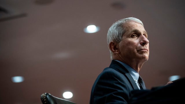 ‘Don’t try and look at the rosy side of things’:  Fauci says US must ‘hunker down’ for COVID-19-fraught winter