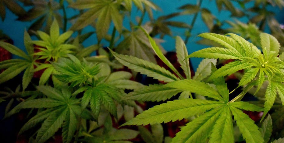 TABC finalizes new rules for Texas hemp industry