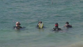 26th annual Lake Travis Cleanup launches with hybrid event