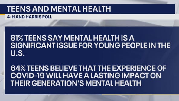 Teenagers are struggling with their mental health during the pandemic