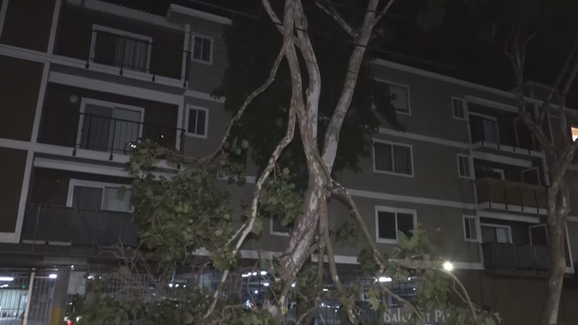 Winds gust up to 89 mph north of San Francisco on Mount St. Helena