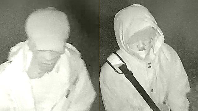 Two suspects steal guns from Bastrop business