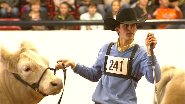 Fort Worth Stock Show and Rodeo canceled for 2021