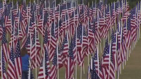 Veterans Day events held to honor those who serve and have served