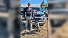 Fayette Co. Narcotics K-9 unit seizes 18.5 pounds of raw fentanyl