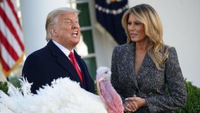 Trump pardons national Thanksgiving turkey at the White House