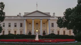 SC man pleads guilty in plot to attack White House, Trump Tower