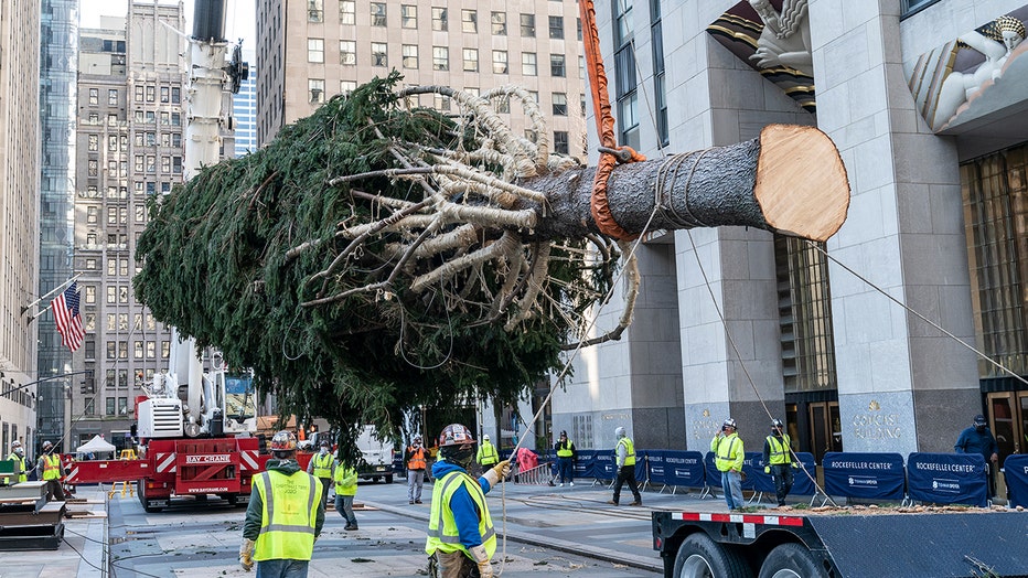 2020 A Christmas Tree Grows In Colorado