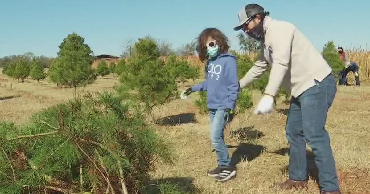 Elgin Christmas Tree Farm a holiday tradition for some | FOX 7 Austin