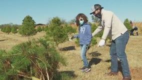 Elgin Christmas Tree Farm a holiday tradition for some