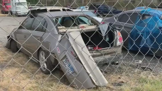 Search teams work through 300 acres in search for Texas State student