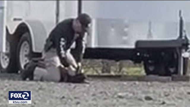Vacaville officer caught on video beating K-9 was 'correcting' dog