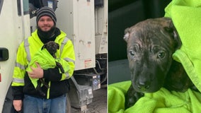 Garbage truck driver hailed as a hero for rescuing puppy he found in discarded backpack