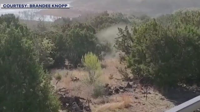 Cedar fever or COVID-19? Allergists warn cedar fever is in full force