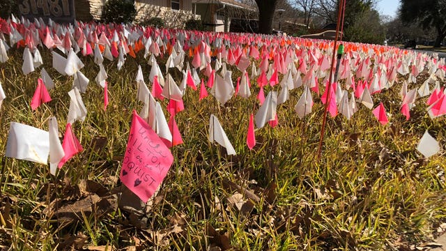 North Austin man plants flags as Texan COVID-19 deaths rise above 30K