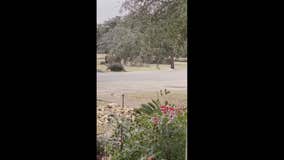 Flag outside Austin home frozen solid