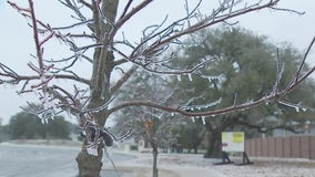 Biden approves major disaster declaration in Texas