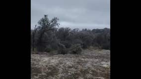 Enchanted Rock State Park shares video of 'pretty' ice in trees