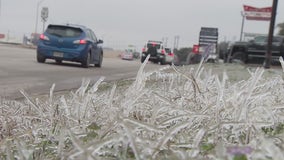 Texas grocery stores have been almost wiped clean due to icy temps