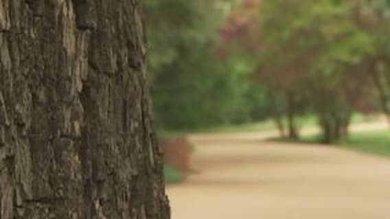 Volunteers needed for Brushy Creek Regional Trail cleanup projects April 30