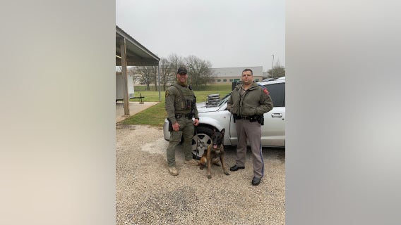 $500K worth of cocaine seized by K9 unit in Fayette County