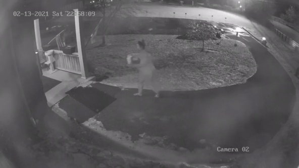 5 puppies die after being left outside animal shelter in below-freezing temperatures