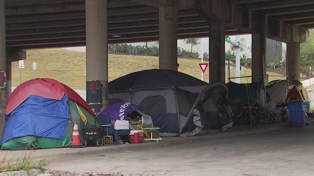 Austin City Council orders special May elections for 8 propositions