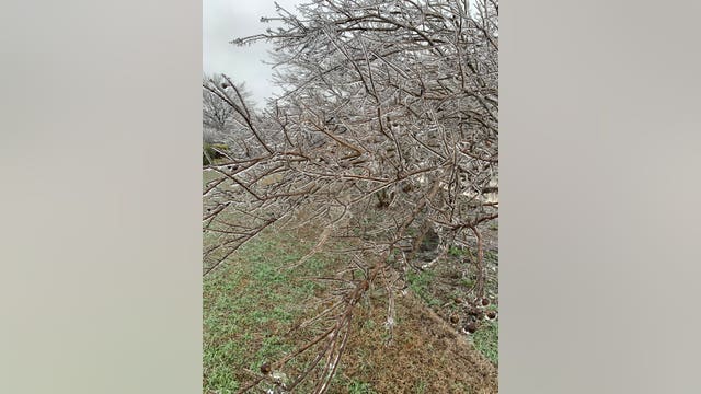 Austin Energy: Around 130 customers without power due to weather