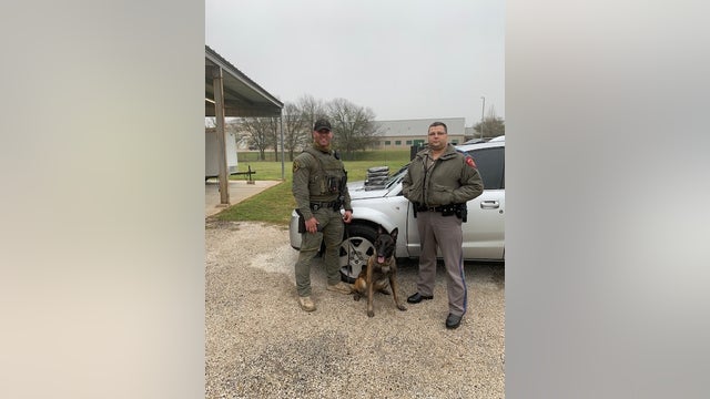$500K worth of cocaine seized by K9 unit in Fayette County