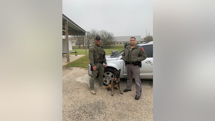 $500K worth of cocaine seized by K9 unit in Fayette County - Vimarsana News
