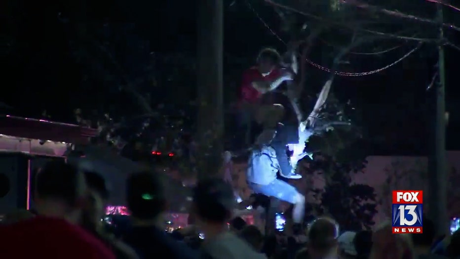 soho-tree-climber.jpg