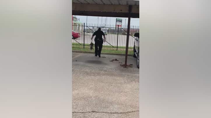 Texas police officer removes opossum family from under truck's hood - Vimarsana News