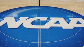 FOX 7 Discussion: NCAA board shows support for trans athletes