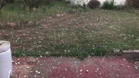 VIDEOS: Viewers capture hail coming down, bouncing off roofs in Llano