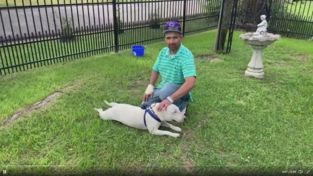 Sulphur Springs man credits his dog for saving him after house catches fire