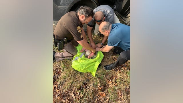 Baby rescued after being found in Michigan woods