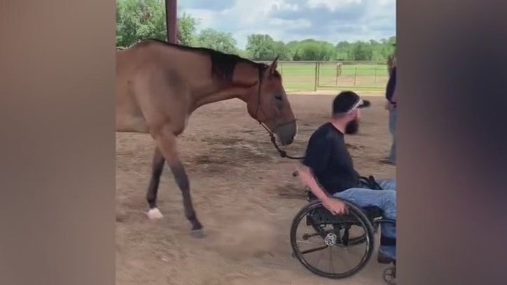 FOX 7 Care Force: Restoration Ranch offers support for veterans - Vimarsana News