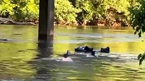 Restaurant employees save woman trapped in Chattahoochee River