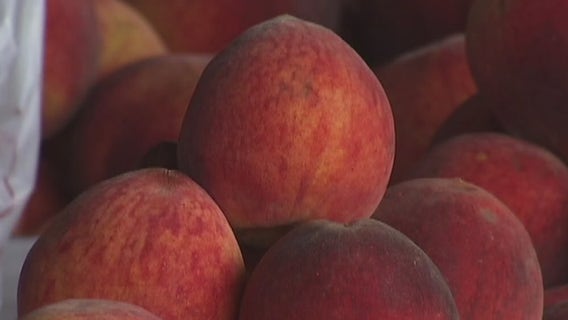 Fredericksburg peaches free from February freeze