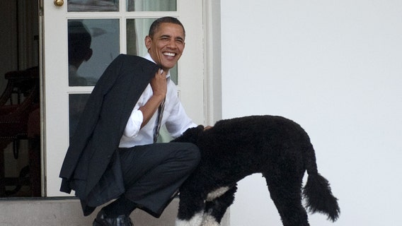 The Obamas announce death of beloved dog, Bo, after battle with cancer