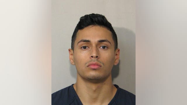 Owner of tiger spotted in west Houston neighborhood arrested