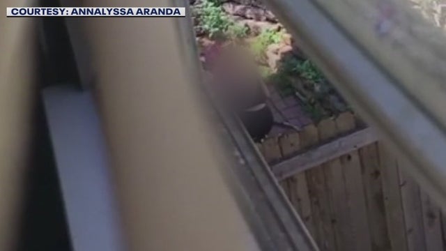 Woman caught on camera hitting dog no longer employed at vet clinic