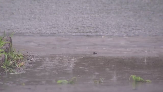Officials urge people to prepare as severe weather possible across Texas